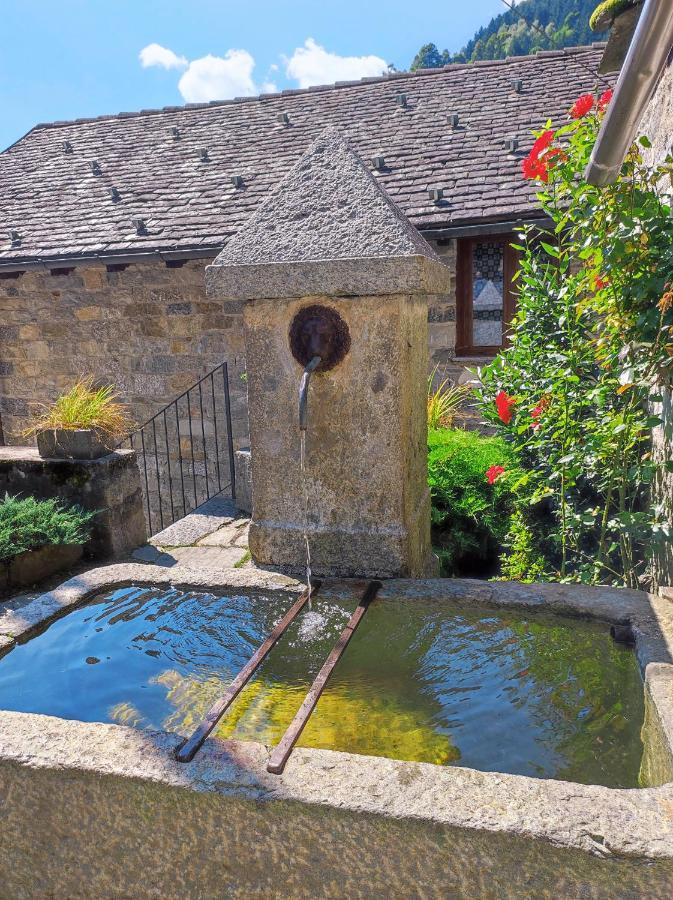 La Casa Del Busso Bed and Breakfast Boccioleto Exteriör bild